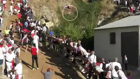 Cinco personas heridas en el popular "encierro del Pilón· en Navarra Cinco personas heridas en el popular "encierro del Pilón· en Navarra