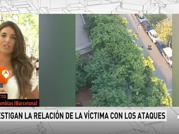 El presunto autor del atentado pudo ser el que se saltó el control policial El presunto autor del atentado pudo ser el que se saltó el control policial