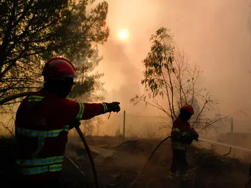 Incendio en Portugal Incendio en Portugal