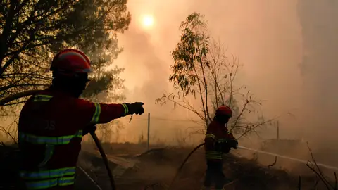 Incendio en Portugal Incendio en Portugal