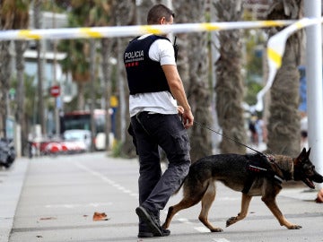 Un agente de los Mossos D'Esquadra