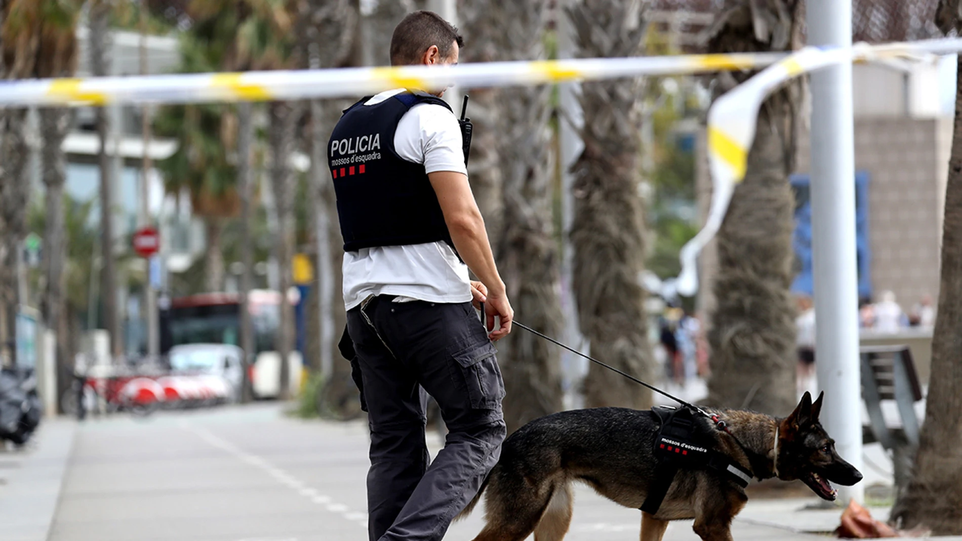 Un agente de los Mossos D'Esquadra Un agente de los Mossos D'Esquadra