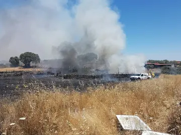 A prisión por provocar doce incendios en Cáceres en los últimos tres años A prisión por provocar doce incendios en Cáceres en los últimos tres años