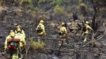 Bomberos sofocando un incendio forestal en Marbella, Málaga
