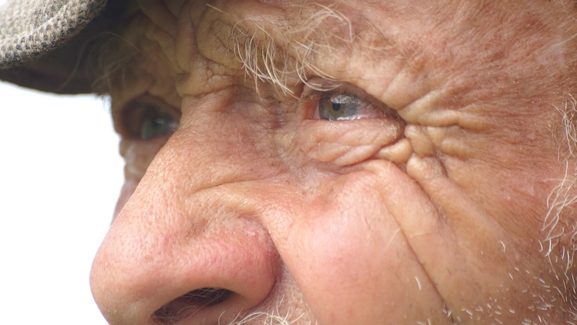 El Alzheimer se podría detectar a través de los ojos El Alzheimer se podría detectar a través de los ojos