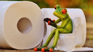 Ir al baño en vacaciones es posible. Te contamos cómo