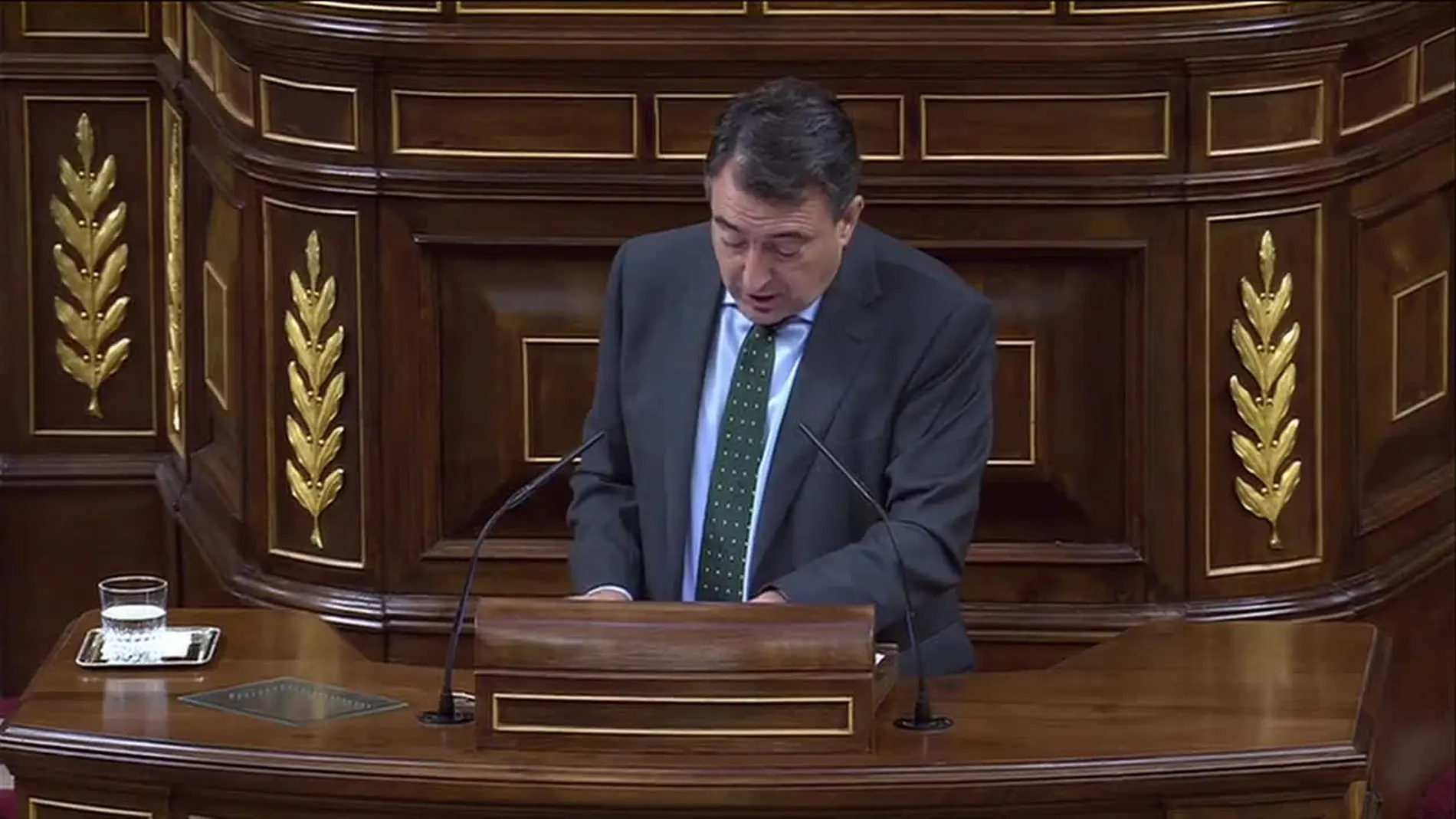 Aitor Esteban, portavoz parlamentario de PNV Aitor Esteban, portavoz parlamentario de PNV