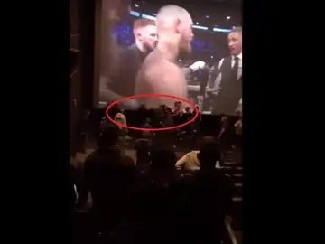 Pelea durante el Mayweather-McGregor Pelea durante el Mayweather-McGregor