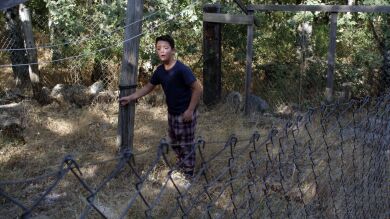 Los animales desaparecen misteriosamente, y esto es sólo el principio