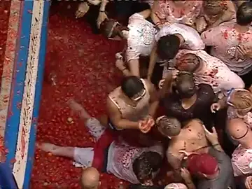 TOMATINA TOMATINA