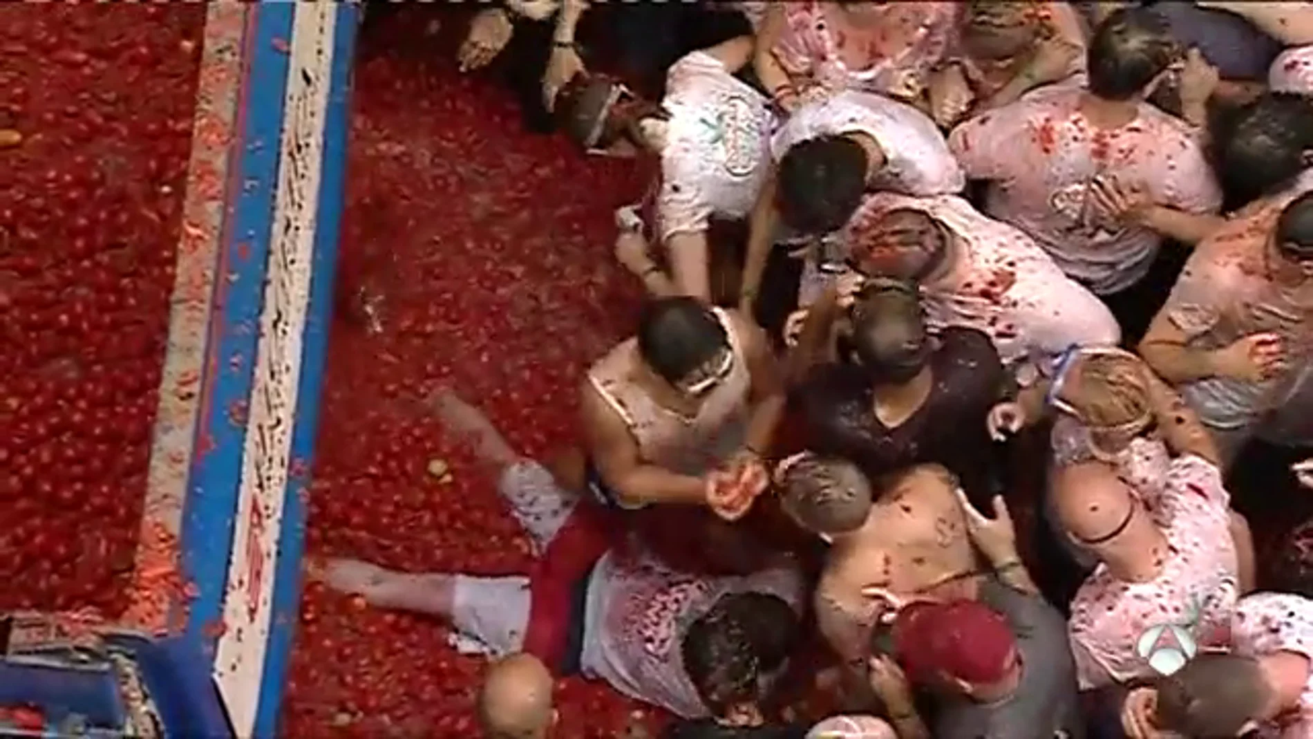 TOMATINA TOMATINA