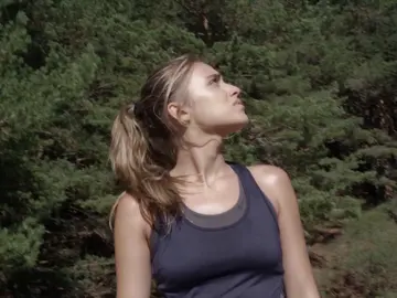 Los pájaros comienzan a caer desplomados en un intento de huir de algo Los pájaros comienzan a caer desplomados en un intento de huir de algo