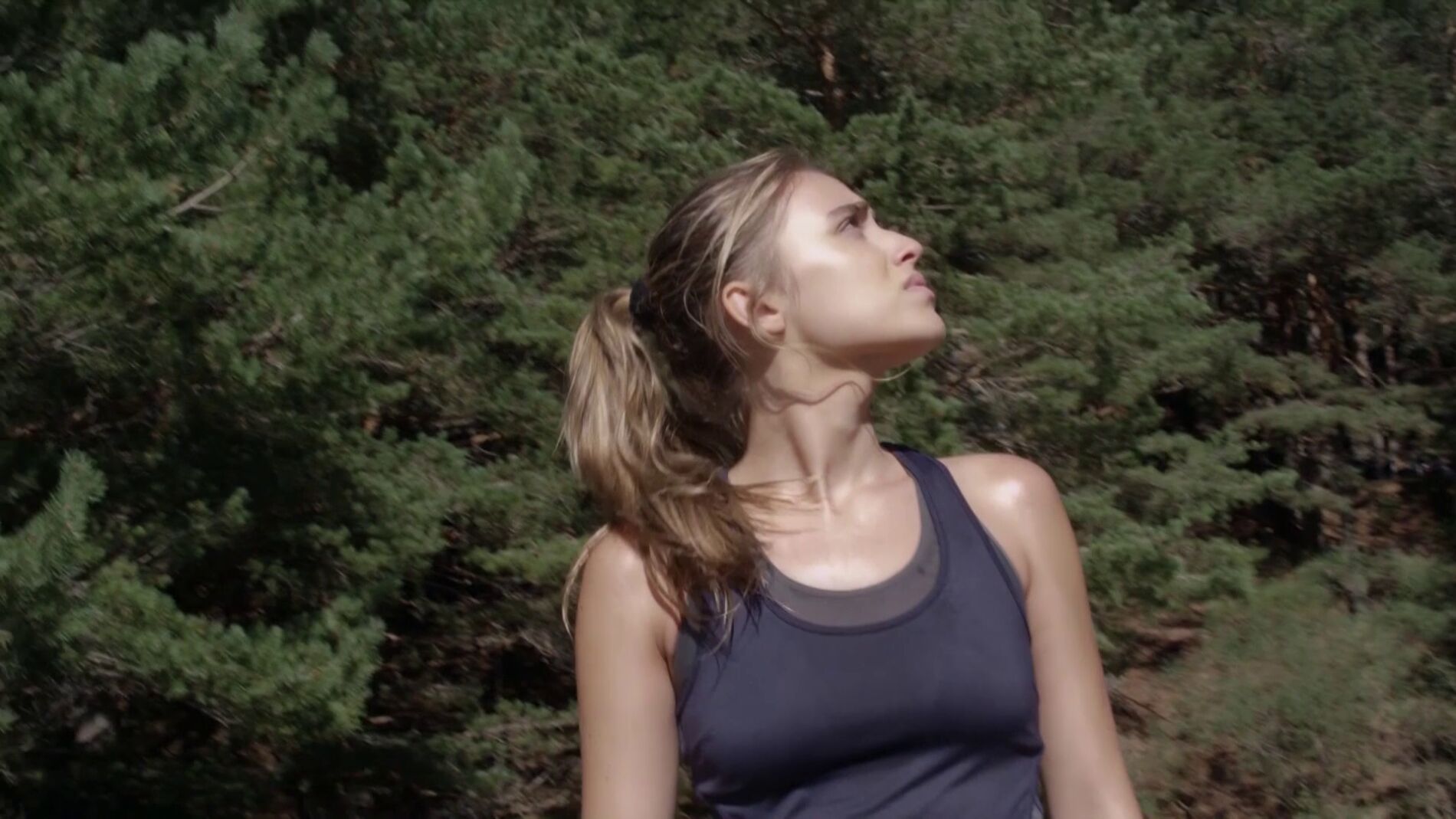 Los p&aacute;jaros comienzan a caer desplomados en un intento de huir de algo