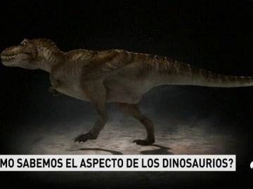 dimnosaurios