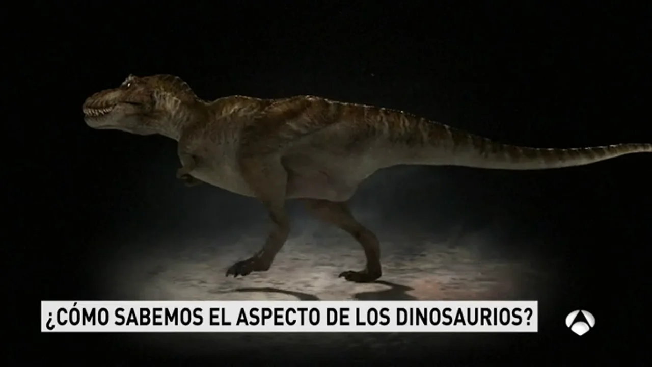 Un artista recrea dinosaurios y otros animales prehistóricos con todo tipo  de detalle en China