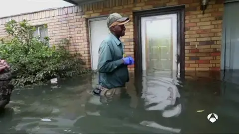 harvey harvey