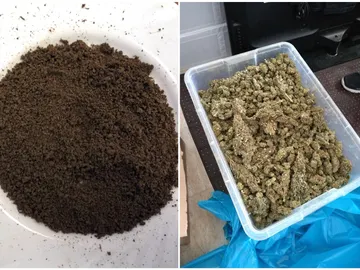 En un laboratorio de producción de aceite de hachís En un laboratorio de producción de aceite de hachís