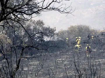 Incendio en Fermoselle, Zamora Incendio en Fermoselle, Zamora