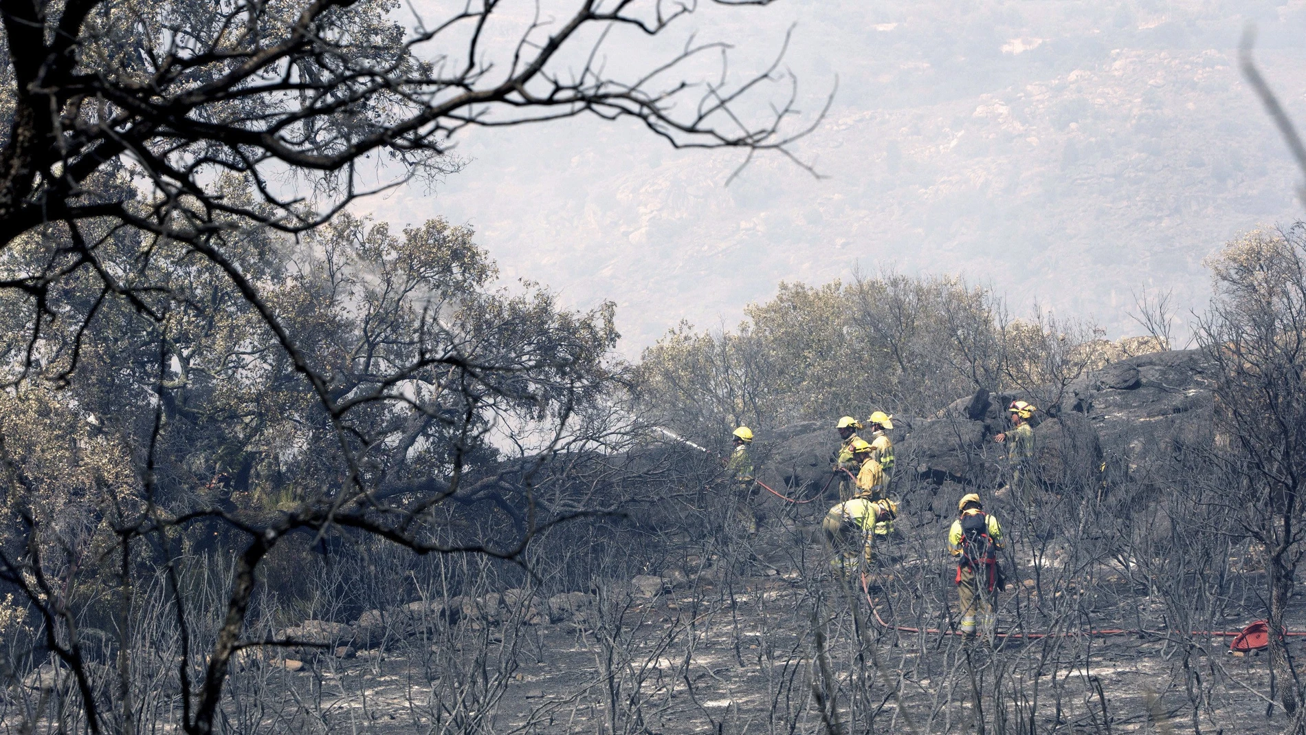 Incendio en Fermoselle, Zamora Incendio en Fermoselle, Zamora