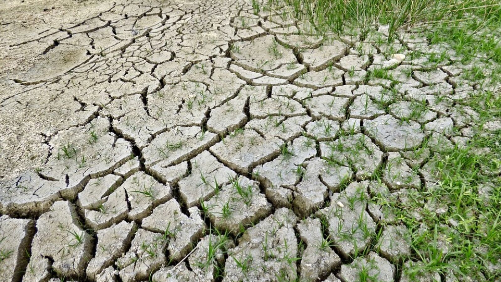 La ONU alerta de que el mundo sufre cinco veces más desastres naturales que hace 50 años