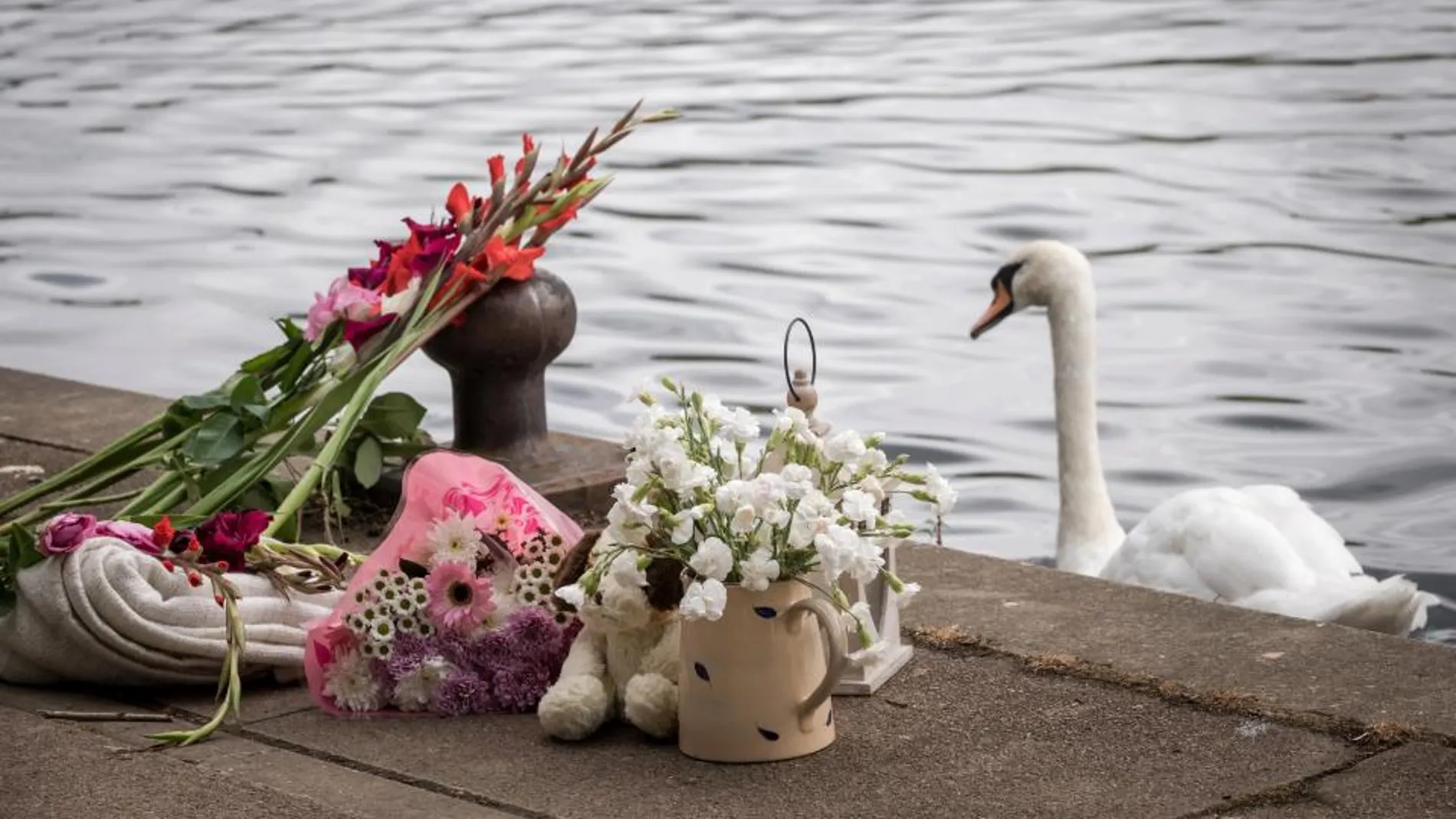 Ofrenda de su hermano Ofrenda de su hermano