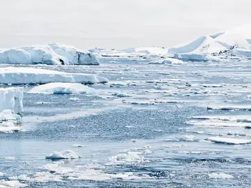 Las consecuencias del cambio climático Las consecuencias del cambio climático