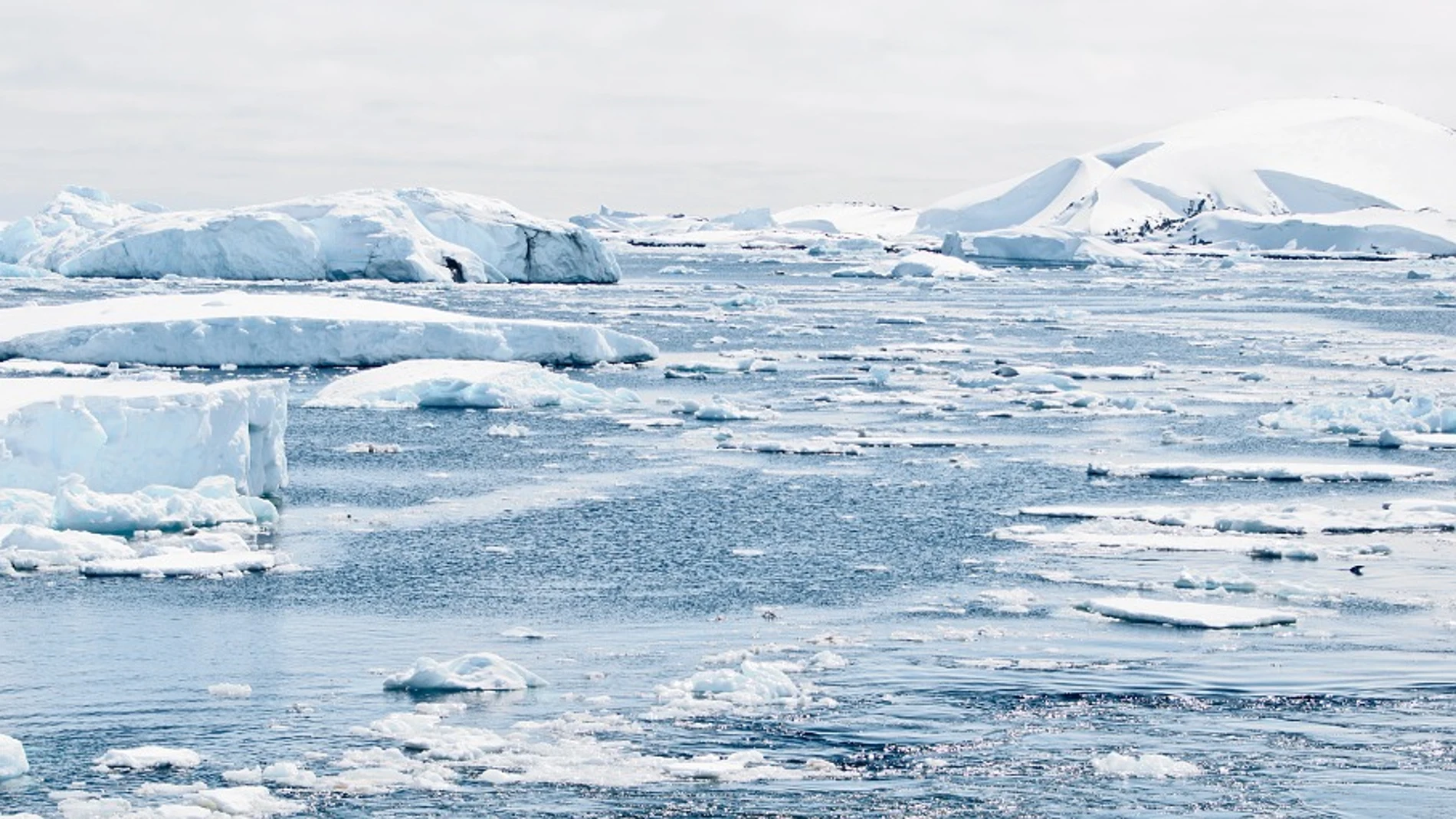 Las consecuencias del cambio climático Las consecuencias del cambio climático