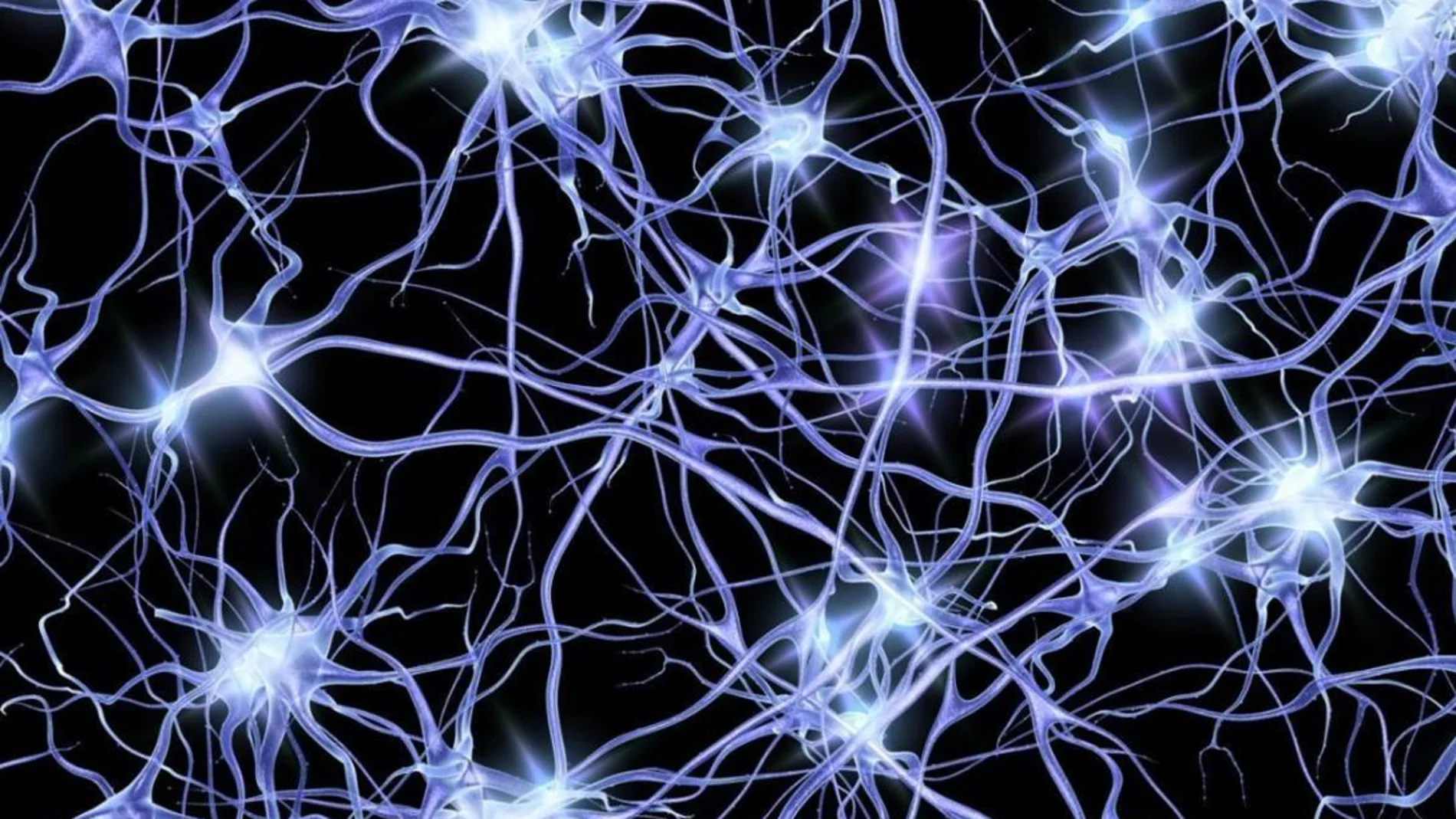 Oleadas de actividad neuronal dan nuevas pistas sobre el alzheimer Oleadas de actividad neuronal dan nuevas pistas sobre el alzheimer
