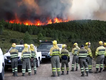 Un incendio originado en Portugal se acerca a la localidad de Latedo (Zamora) Un incendio originado en Portugal se acerca a la localidad de Latedo (Zamora)