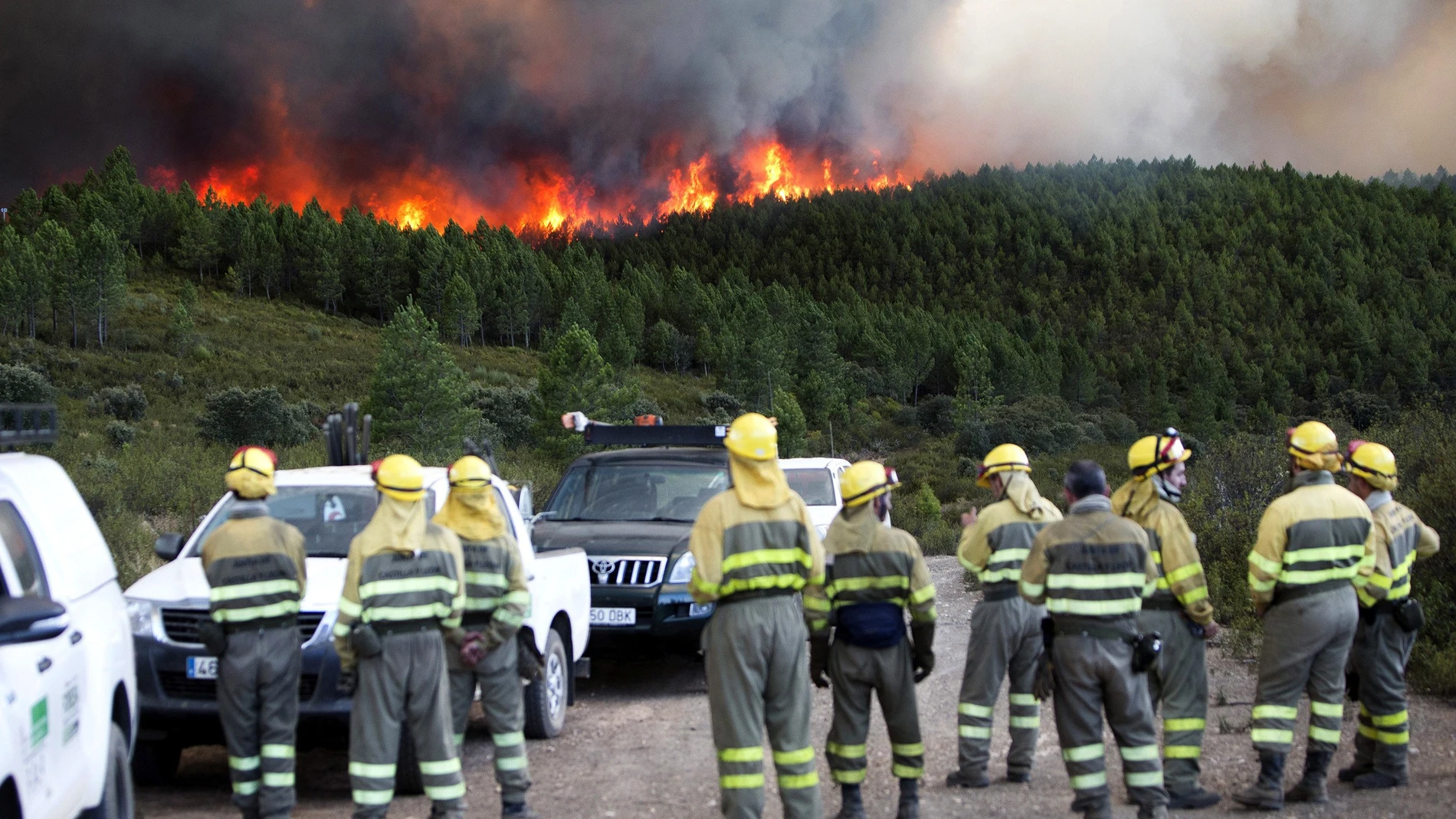 Un incendio originado en Portugal se acerca a la localidad de Latedo (Zamora) Un incendio originado en Portugal se acerca a la localidad de Latedo (Zamora)