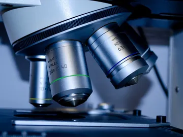 Imagen de un microscopio Imagen de un microscopio