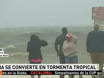 irma irma
