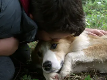 Nacho mata cruelmente a su perro ante la atónita mirada de Hugo Nacho mata cruelmente a su perro ante la atónita mirada de Hugo
