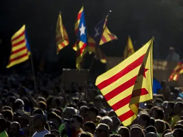 Imagen de la Diada Imagen de la Diada