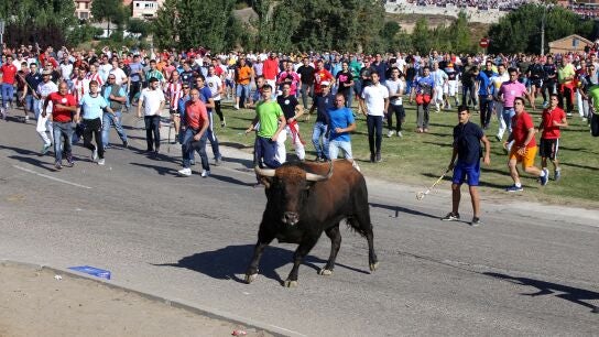 Encierro del Toro de la Vega