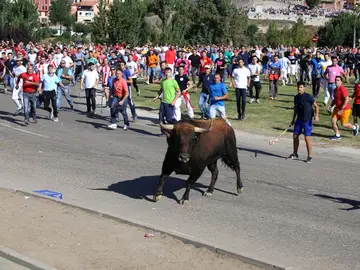 Encierro del Toro de la Vega Encierro del Toro de la Vega