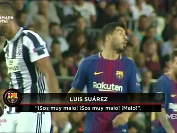 SuarezMalo SuarezMalo