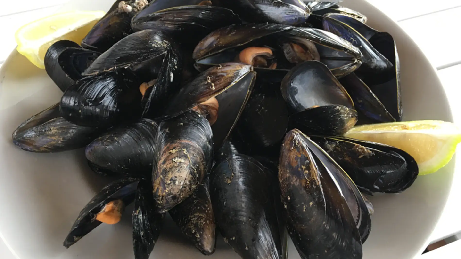 Los mejillones del Delta del Ebro.