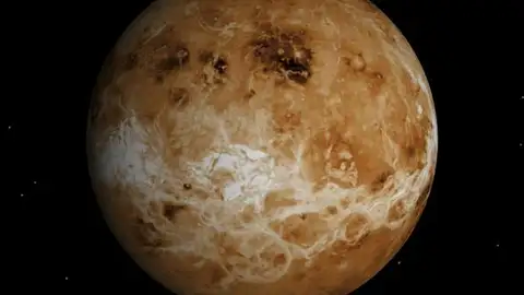 Así es Venus Así es Venus