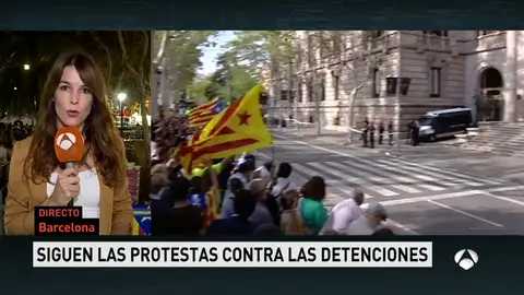 MANIFESTACION MANIFESTACION