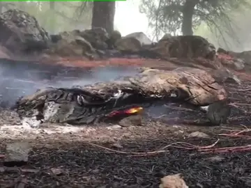 Bajo control el incendio de Gran Canaria Bajo control el incendio de Gran Canaria