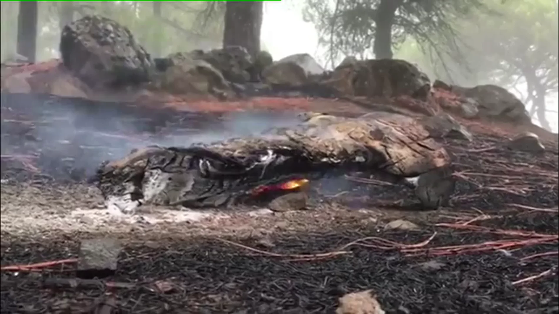 Bajo control el incendio de Gran Canaria Bajo control el incendio de Gran Canaria