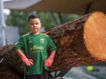 Timbers Portland Timbers Portland