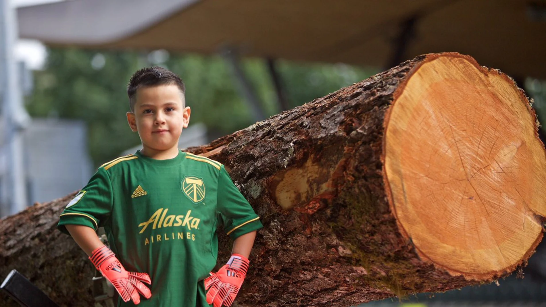 Timbers Portland Timbers Portland