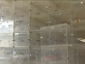 Urnas con fines electorales Urnas con fines electorales