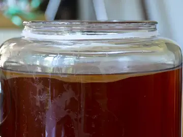 La kombucha tiene muchos beneficios. La kombucha tiene muchos beneficios.