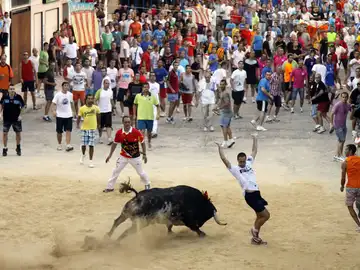 Imagen de archivo: 'bous al carrer' Imagen de archivo: 'bous al carrer'