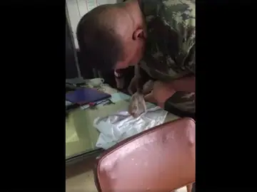 El soldado reanimando al cachorro El soldado reanimando al cachorro