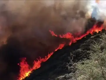 El incendio de Gran Canaria fue provocado El incendio de Gran Canaria fue provocado