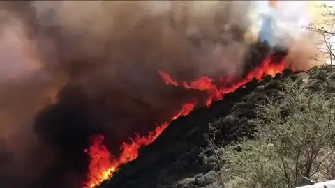 El incendio de Gran Canaria fue provocado El incendio de Gran Canaria fue provocado